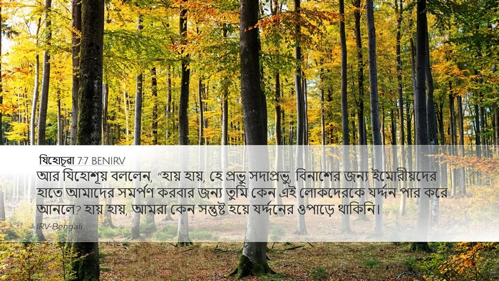 যিহোচূৱা 7:7 BENIRV Desktop Wallpaper - আর যিহোশূয় বললেন, - Desktop Bible Verse Wallpaper