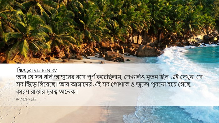 যিহোচূৱা 9:13 BENIRV Bible Verse Image