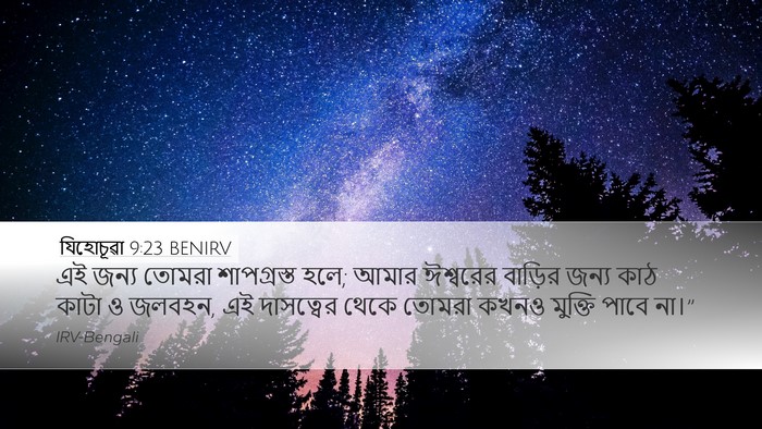যিহোচূৱা 9:23 BENIRV Bible Verse Image