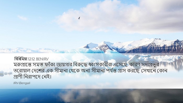 যিৰিমিয়া 12:12 BENIRV Bible Verse Image
