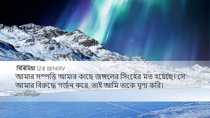 যিৰিমিয়া 12:8 BENIRV Bible Verse Image