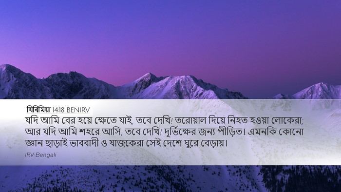 যিৰিমিয়া 14:18 BENIRV Bible Verse Image