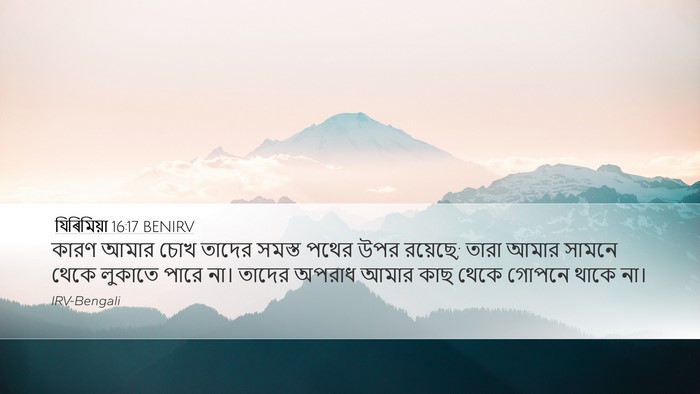 যিৰিমিয়া 16:17 BENIRV Bible Verse Image