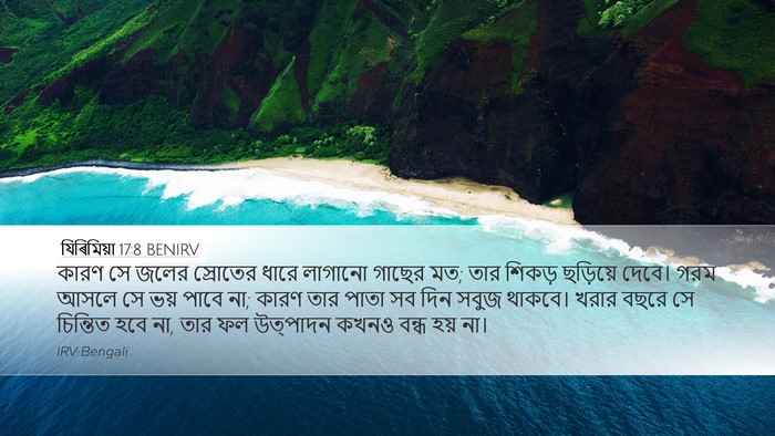 যিৰিমিয়া 17:8 BENIRV Bible Verse Image