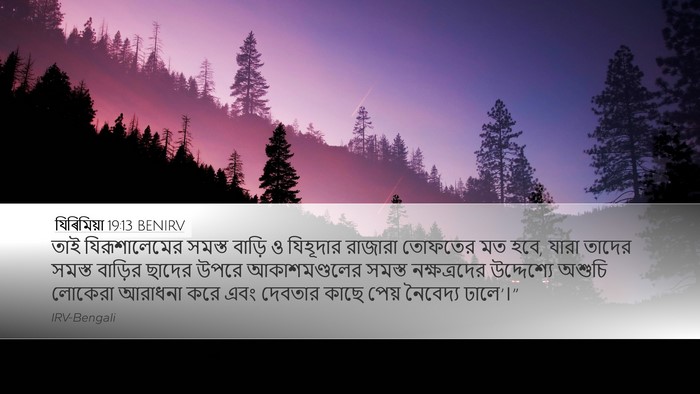 যিৰিমিয়া 19:13 BENIRV Bible Verse Image