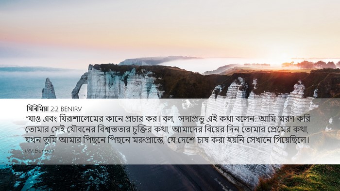 যিৰিমিয়া 2:2 BENIRV Bible Verse Image