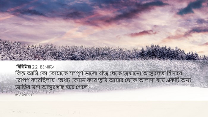 যিৰিমিয়া 2:21 BENIRV Bible Verse Image