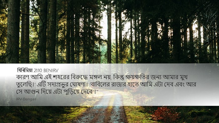 যিৰিমিয়া 21:10 BENIRV Bible Verse Image