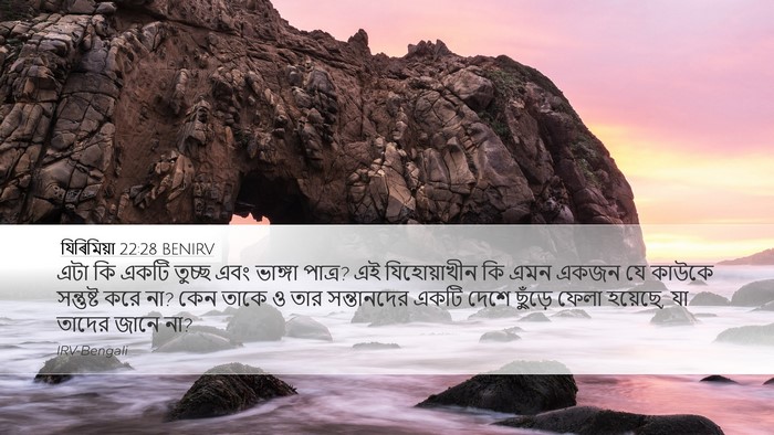 যিৰিমিয়া 22:28 BENIRV Bible Verse Image