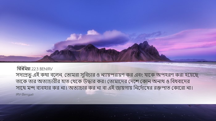 যিৰিমিয়া 22:3 BENIRV Bible Verse Image