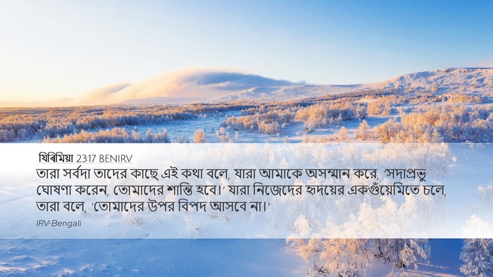 যিৰিমিয়া 23:17 BENIRV Bible Verse Image