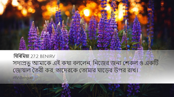 যিৰিমিয়া 27:2 BENIRV Bible Verse Image