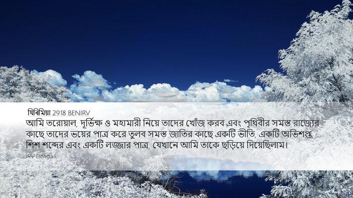যিৰিমিয়া 29:18 BENIRV Bible Verse Image