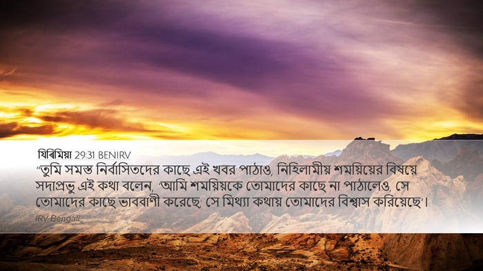 যিৰিমিয়া 29:31 BENIRV Bible Verse Image