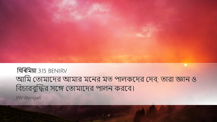 যিৰিমিয়া 3:15 BENIRV Bible Verse Image