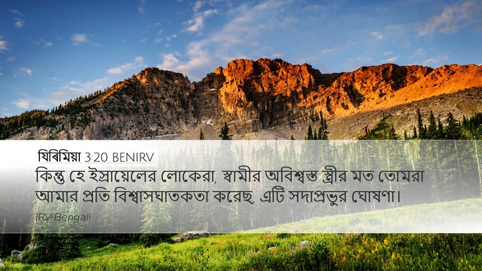 যিৰিমিয়া 3:20 BENIRV Bible Verse Image