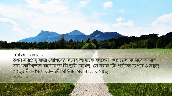 যিৰিমিয়া 3:6 BENIRV Bible Verse Image
