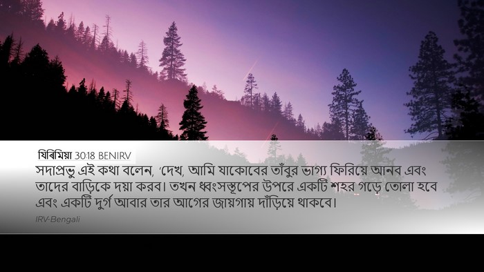যিৰিমিয়া 30:18 BENIRV Bible Verse Image