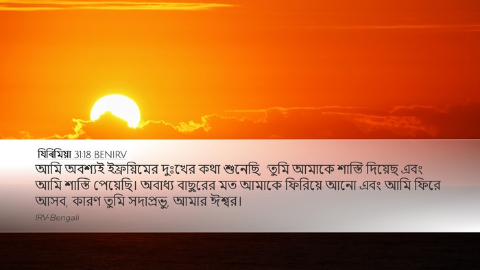 যিৰিমিয়া 31:18 BENIRV Bible Verse Image