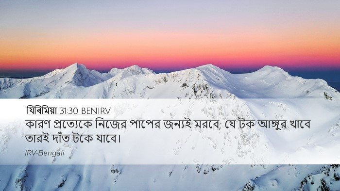 যিৰিমিয়া 31:30 BENIRV Bible Verse Image