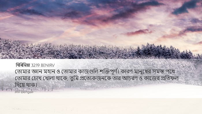 যিৰিমিয়া 32:19 BENIRV Bible Verse Image