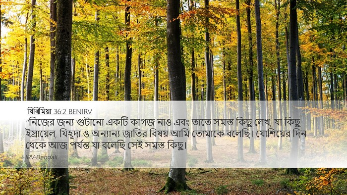 যিৰিমিয়া 36:2 BENIRV Bible Verse Image