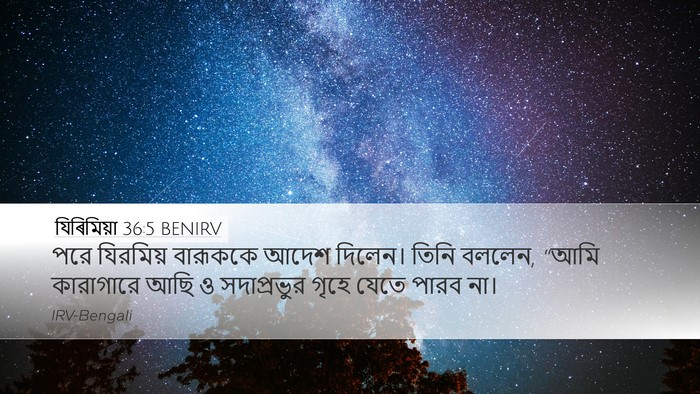 যিৰিমিয়া 36:5 BENIRV Bible Verse Image