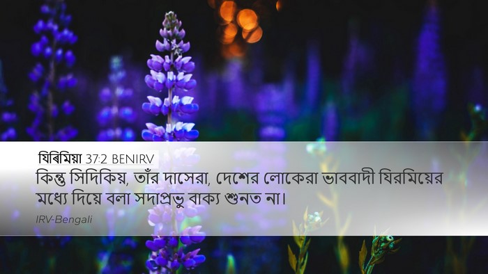 যিৰিমিয়া 37:2 BENIRV Desktop Wallpaper - কিন্তু সিদিকিয়, - Desktop Bible Verse Wallpaper