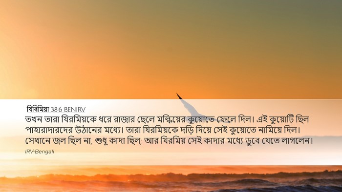 যিৰিমিয়া 38:6 BENIRV Bible Verse Image