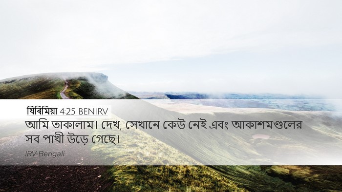 যিৰিমিয়া 4:25 BENIRV Bible Verse Image