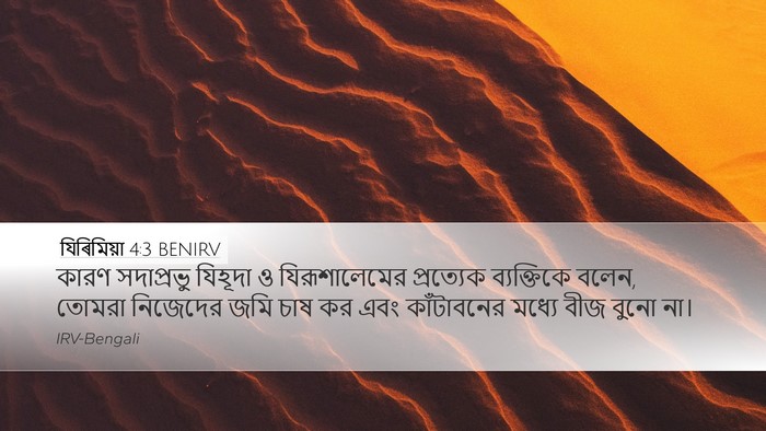 যিৰিমিয়া 4:3 BENIRV Bible Verse Image