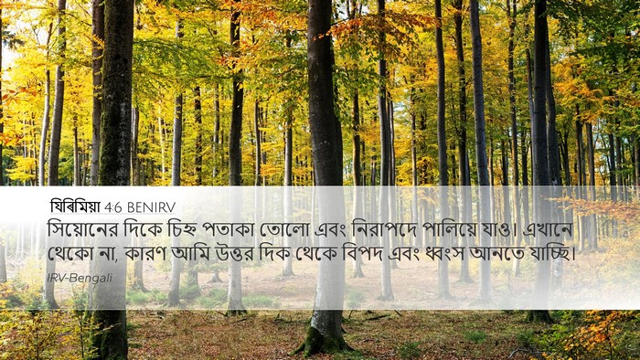 যিৰিমিয়া 4:6 BENIRV Bible Verse Image