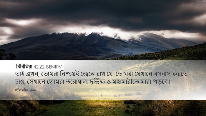 যিৰিমিয়া 42:22 BENIRV Bible Verse Image