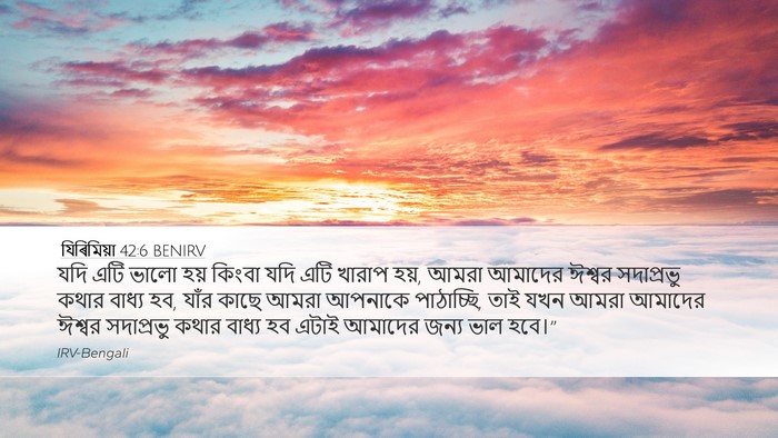 যিৰিমিয়া 42:6 BENIRV Bible Verse Image
