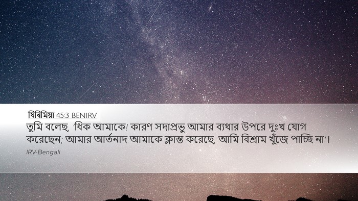 যিৰিমিয়া 45:3 BENIRV Desktop Wallpaper - তুমি বলেছ, ‘ধিক - Desktop Bible Verse Wallpaper