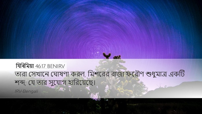 যিৰিমিয়া 46:17 BENIRV Bible Verse Image