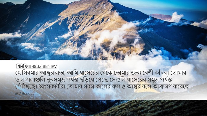 যিৰিমিয়া 48:32 BENIRV Bible Verse Image