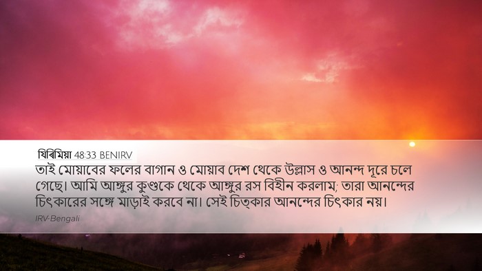 যিৰিমিয়া 48:33 BENIRV Bible Verse Image