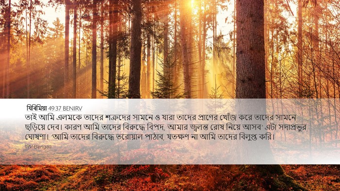 যিৰিমিয়া 49:37 BENIRV Desktop Wallpaper - তাই আমি এলমকে - Desktop Bible Verse Wallpaper