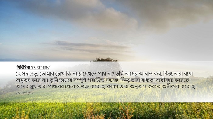 যিৰিমিয়া 5:3 BENIRV Bible Verse Image