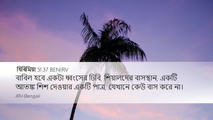 যিৰিমিয়া 51:37 BENIRV Bible Verse Image