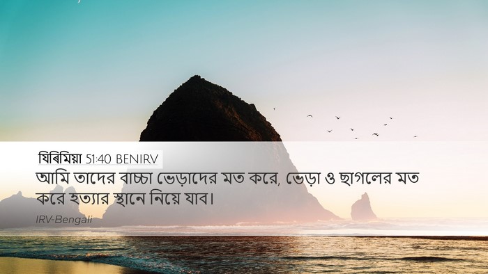 যিৰিমিয়া 51:40 BENIRV Bible Verse Image