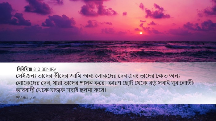 যিৰিমিয়া 8:10 BENIRV Bible Verse Image
