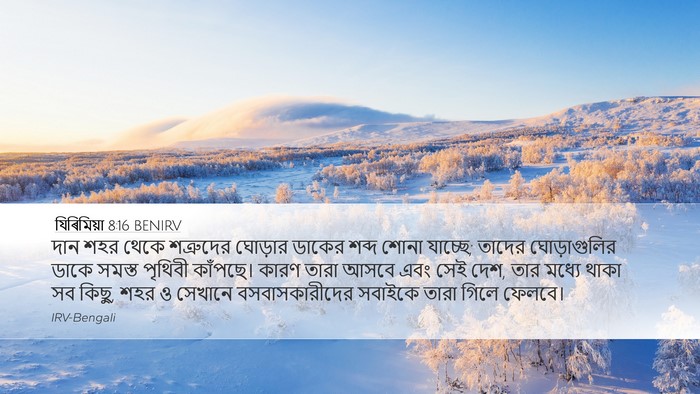 যিৰিমিয়া 8:16 BENIRV Bible Verse Image