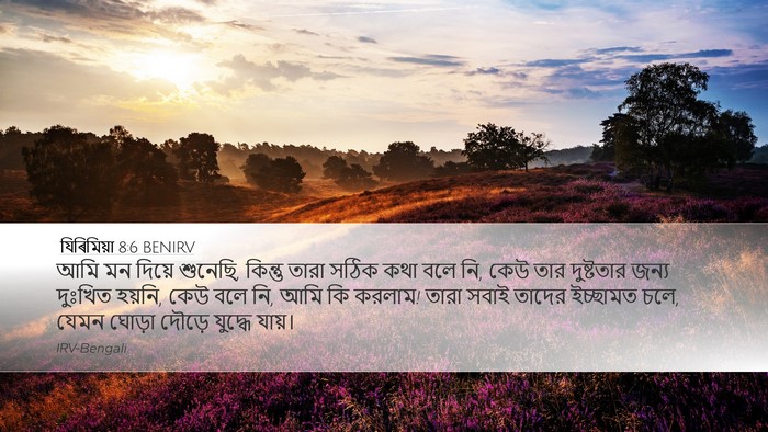 যিৰিমিয়া 8:6 BENIRV Bible Verse Image