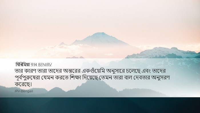 যিৰিমিয়া 9:14 BENIRV Bible Verse Image