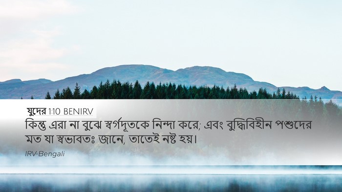 যুদের 1:10 BENIRV Bible Verse Image