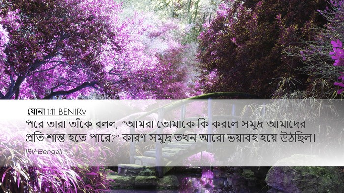 যোনা 1:11 BENIRV Desktop Wallpaper - পরে তারা তাঁকে বলল, - Desktop Bible Verse Wallpaper