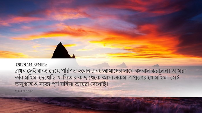 যোহন 1:14 BENIRV Bible Verse Image