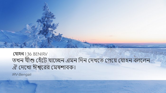 যোহন 1:36 BENIRV Bible Verse Image